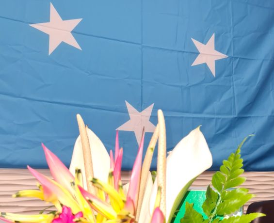 National Election Changes 2 in Pohnpei and Maintains All State Representatives 