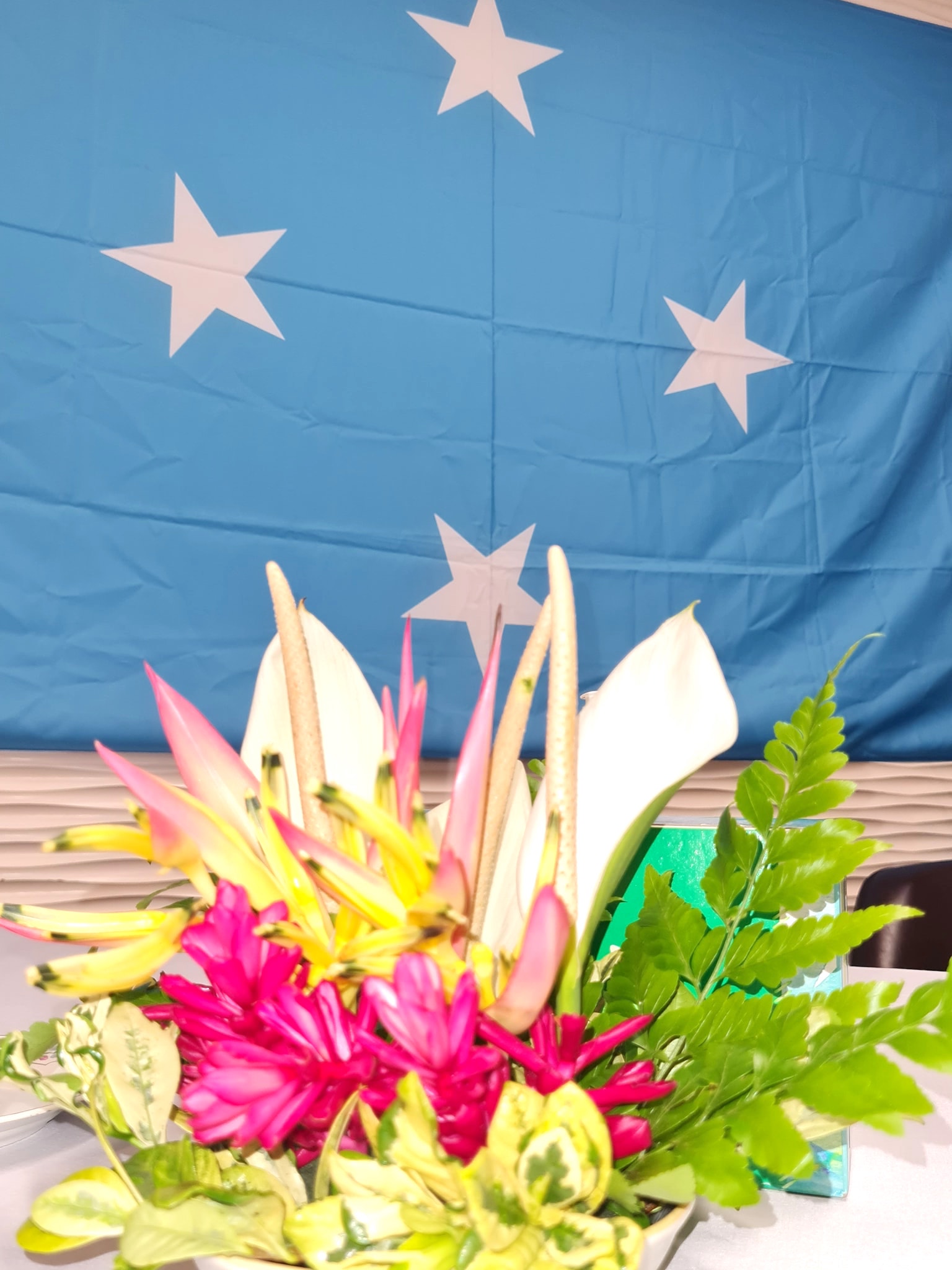 National Election Changes 2 in Pohnpei and Maintains All State Representatives 
